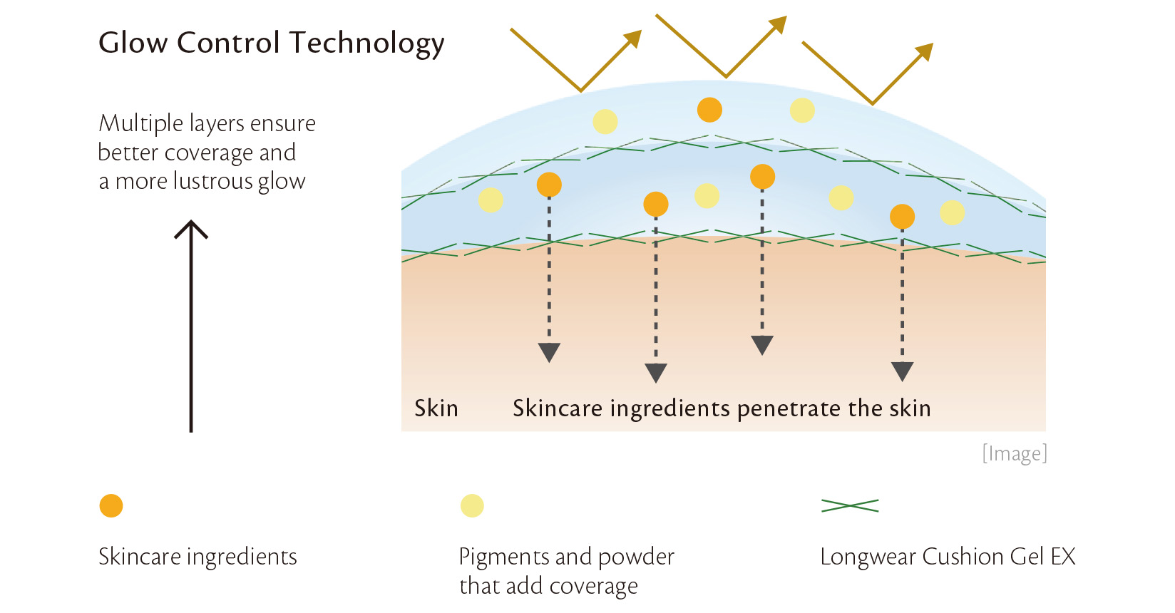 Diagram of Glow Control Technology. Illustrates how multiple layers of skincare ingredients, pigments, and Longwear Cushion Gel EX work together to penetrate and cover the skin, enhancing coverage and radiance.
